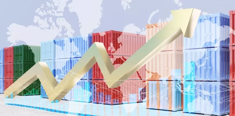 Bulk Cargo Shipping (3)