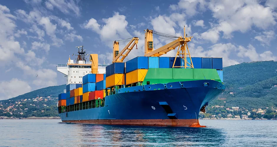 Global Bulk Cargo Service Provider