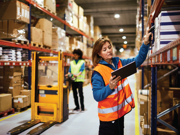 Warehousing Solutions Powered by Warehouse Management Systems (WMS)